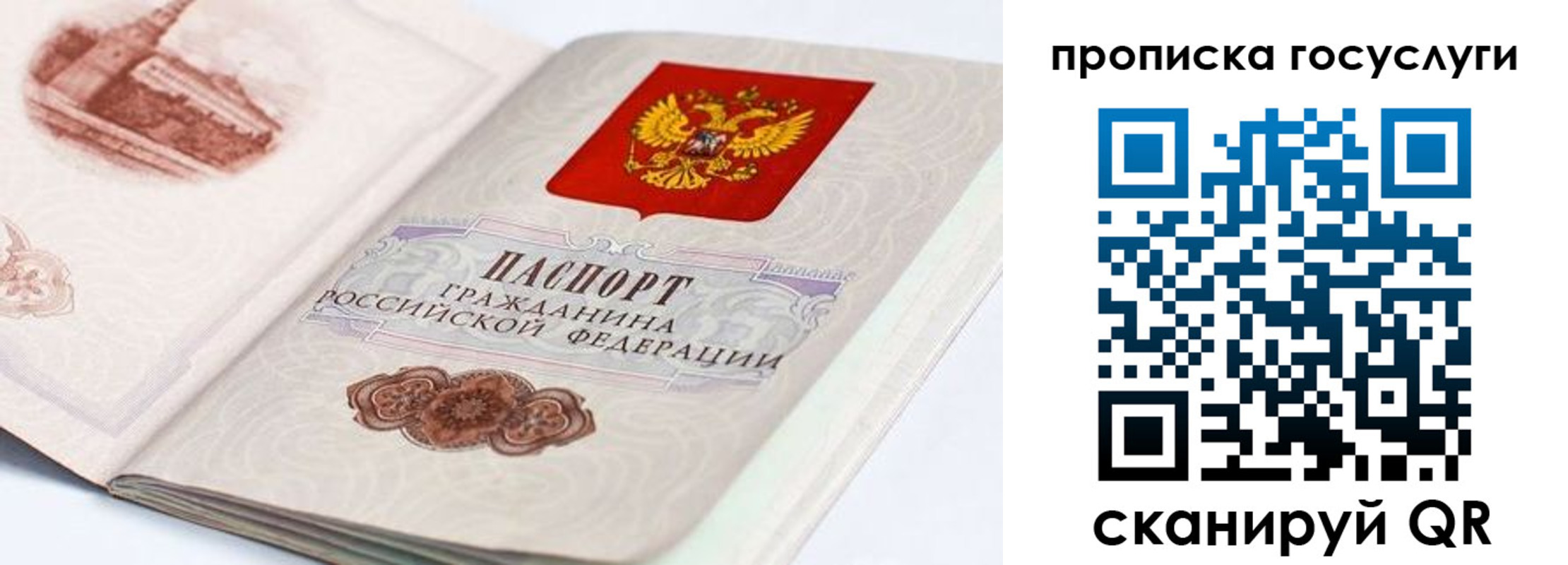 прописка регистрация в Сертолово